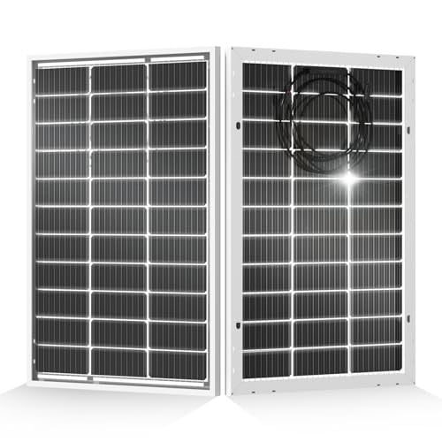 ECO-WORTHY 200 Watt Bifacial Solar Panel 2pcs 100 Watt Monocrystalline