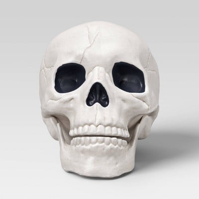 6" Medium Skull Halloween Decorative Prop in Light Off-White