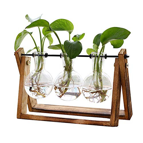 XXXFlower 3-Bulb Vase Plant Terrarium Air Planter w/ Wooden Stand