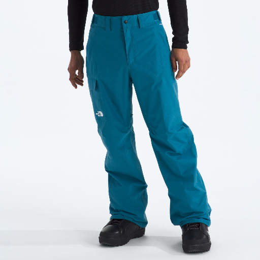 The North Face Men's Freedom Pants