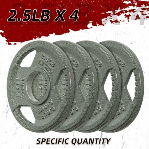 Signature Fitness 2" Cast Iron Weight Plates 2.5lb x4 Deal