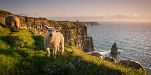Ireland Guided Tour with International Flights & Cliffs of Moher
