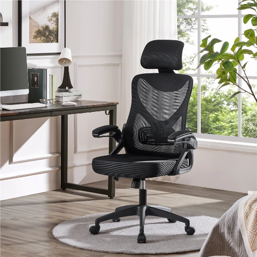 Alden Design High Back Ergonomic Mesh Office Chair, Black