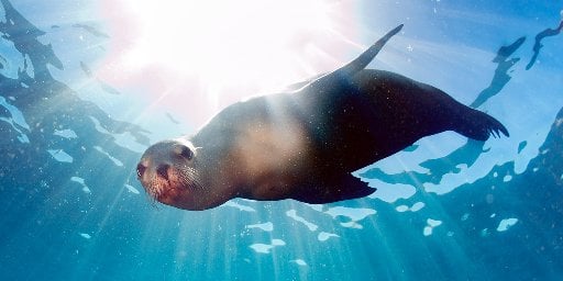 Ecuador & Galapagos 10 Nights w/ Flights Deal