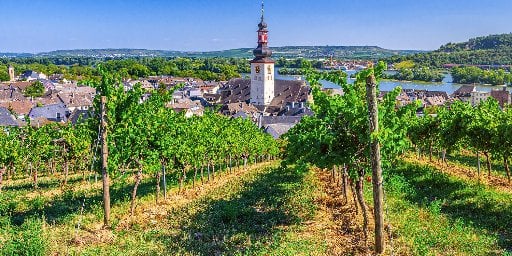 Weeklong Rhine River Cruise with Avalon Waterways