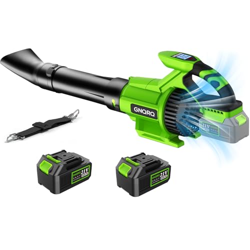 Electric Leaf Blower Cordless 21V