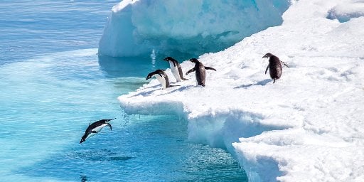 11 Night Vacation Package: Visit Antarctica on an Expedition Vessel Deal