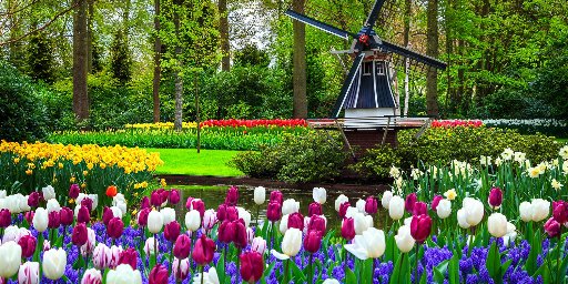 8-Day Netherlands River Cruise during Tulip Season