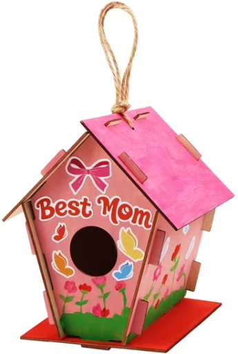 Build and Paint Birdhouse Arts and Crafts Kit, 11 Pieces Deal