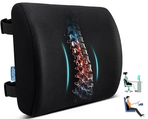 Lumbar Support Pillow for Office Chair