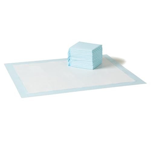 Amazon Basics Basic Disposable Dog Training Pads, XL, 15 Pack
