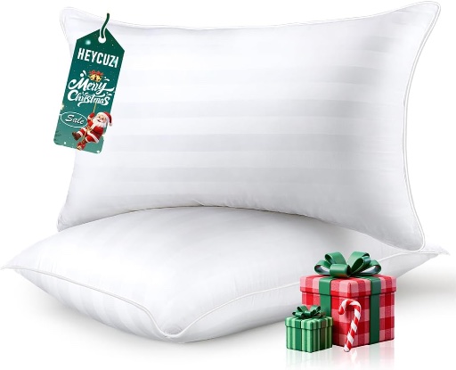 HEYCUZI Queen Size Bed Pillows Set of 2