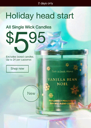 Bath & Body Works Single Wick Candles