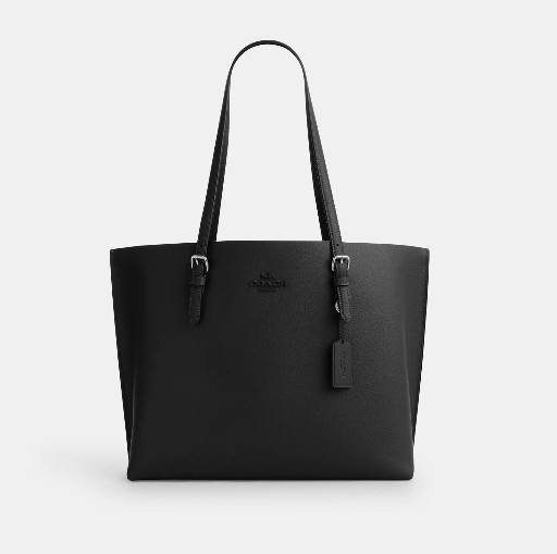 Coach Mollie Tote Bag