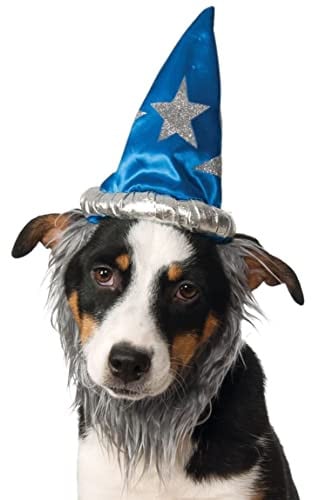 Rubies Wizard Hat W/Beard Pet Set M/L