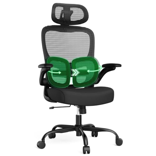 Ergonomic Office Desk Chair 350 LBS High-Back Mesh with Dual Lumbar Support & 3D Headrest Deal