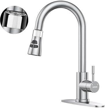 Hurran Kitchen Faucet with Pull Down Sprayer
