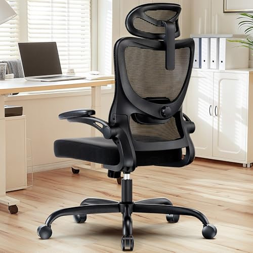 HUANUO Ergonomic High Back Office Chair w/ Adjustable Lumbar, 2D Headrest & 3D Armrests