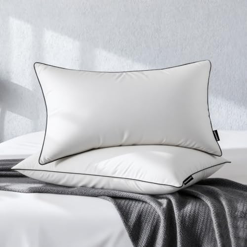 Feather Down Pillow King Size Set of 2