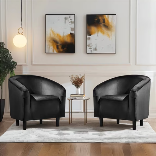 Renwick Modern Upholstered Accent Chair, Set of 2 Deal