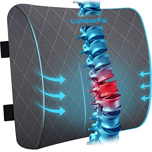 Lumbar Support Pillow