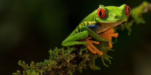10-Night Costa Rica & Panama Canal Cruise, Panama City to Miami