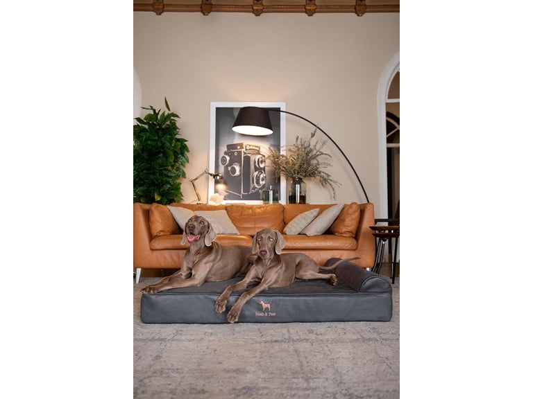 NOAH & PAW 55"x45"x9.5" XXL Orthopedic Cooling Gel Memory Foam Dog Bed Deal