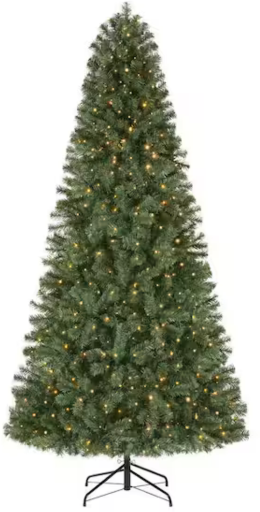 Christmas Trees 6-7.5ft