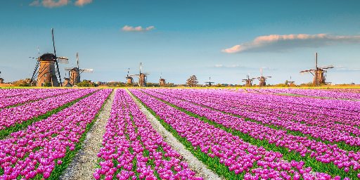 9-Night River Cruise from Amsterdam