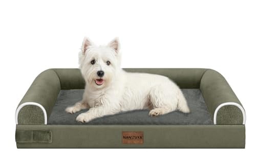 Orthopedic Medium Dog Bed Deal