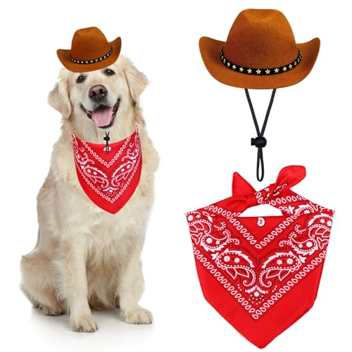 Dog Cowboy Set