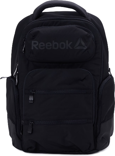 Reebok Unisex Adult Winter 16" Laptop Backpack Deal