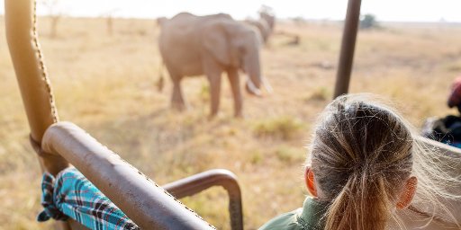 8-Night South Africa Safari Trip w/ Airfare