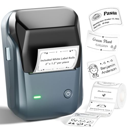 NIIMBOT B1 Label Maker, 2Inch