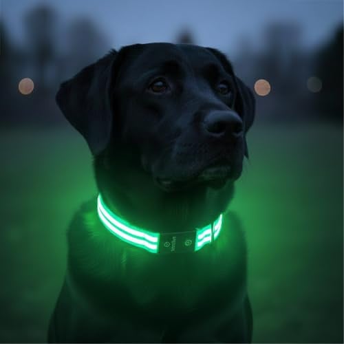Tractive LED Light Up Dog Collar USB Rechargeable Waterproof (Green) Deal