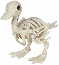 Tractor Supply Halloween Skeleton Flash Sale