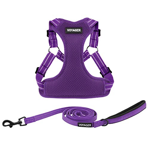 Best Pet Supplies Voyager Mesh Dog Breathable Harness