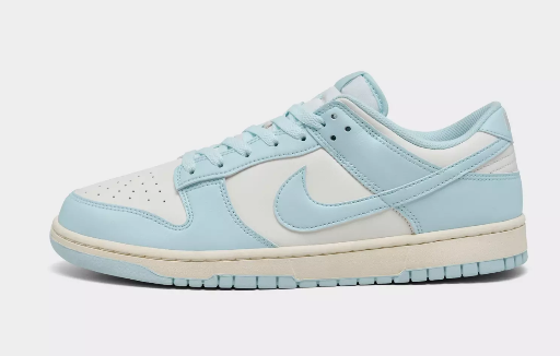 Nike Men's Dunk Low Retro Casual Shoes (Pale Ivory/Glacier Blue)