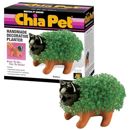 Chia Pet Kitten with Seed Pack Deal