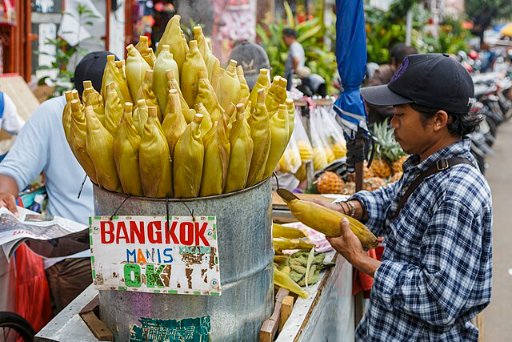 Roundtrip Dallas to Jakarta Indonesia Airfares with 1 Free Checked Bag