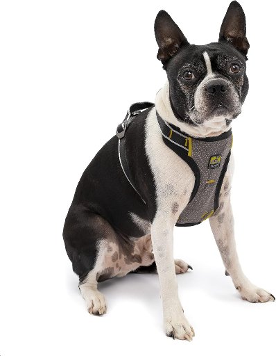 Kurgo Impact Dog Car Harness (Small)