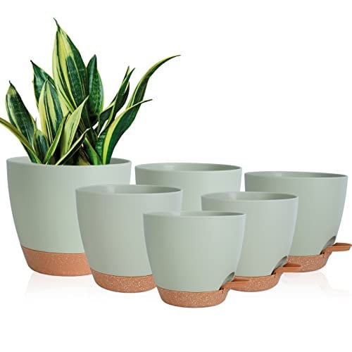 Vanslogreen Self Watering Planters with Drainage, 6-Pack Deal