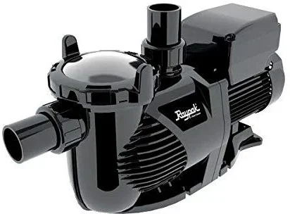 Raypak Protege 1.5 HP Variable Speed Above Ground Pool Pump Deal