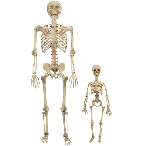 Life Size Posable Human Skeleton Halloween Decoration 2-Pack
