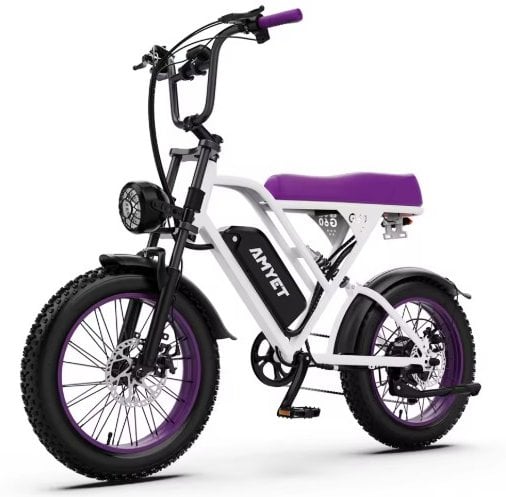 AMYET V9-G60 Electric Bike 1000W Motor 48V 20AH 20'' Fat Tire Deal