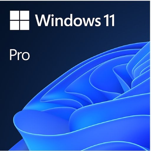 Microsoft Windows 11 Pro Deal