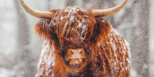 6-Day Scottish Highlands Tour Package