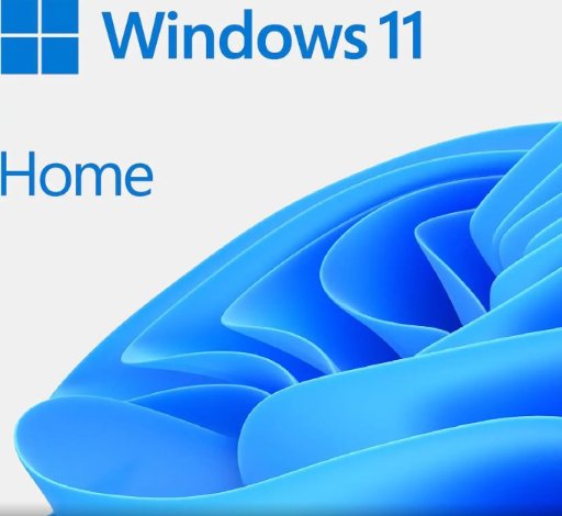 Microsoft Windows 11 Home 64-bit DVD OEM Deal