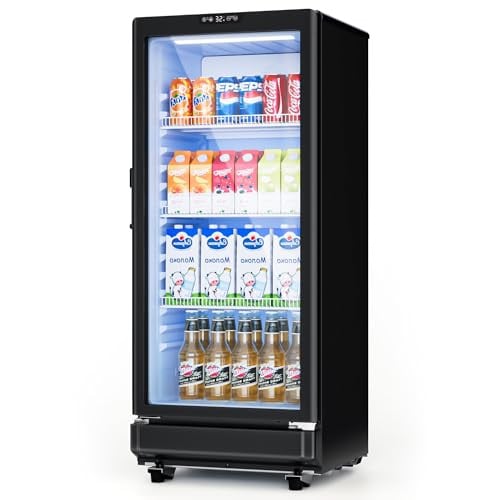 ICEVIVAL 6 Cu.Ft Commercial Refrigerator Deal