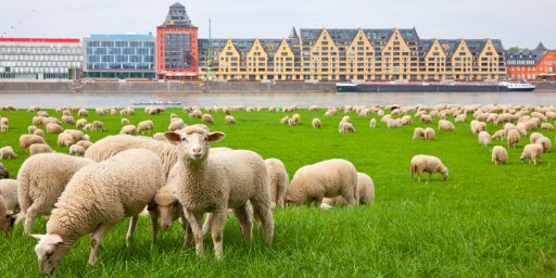 Weeklong Rhine River Cruise, Amsterdam to Basel